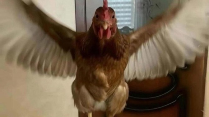Ellerinizin kirlenmesi sizi rahatsız eder mi?