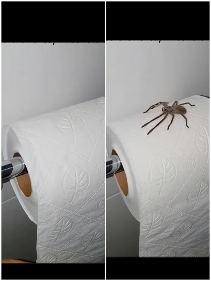 Zor anlarda soğukkanlığını koruyabilir misin?