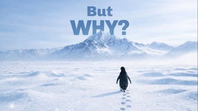 Nihilist Penguen neden ters yöne gitti?