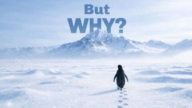 Nihilist Penguen neden ters yöne gitti?