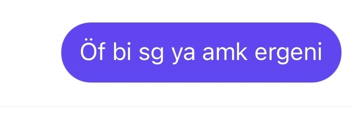 Bi kızdan böyle bi mesaj alsanız zorunuza gider mi?