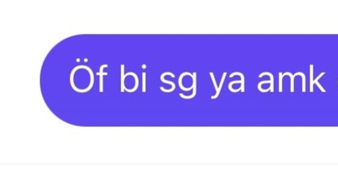 Bi kızdan böyle bi mesaj alsanız zorunuza gider mi?