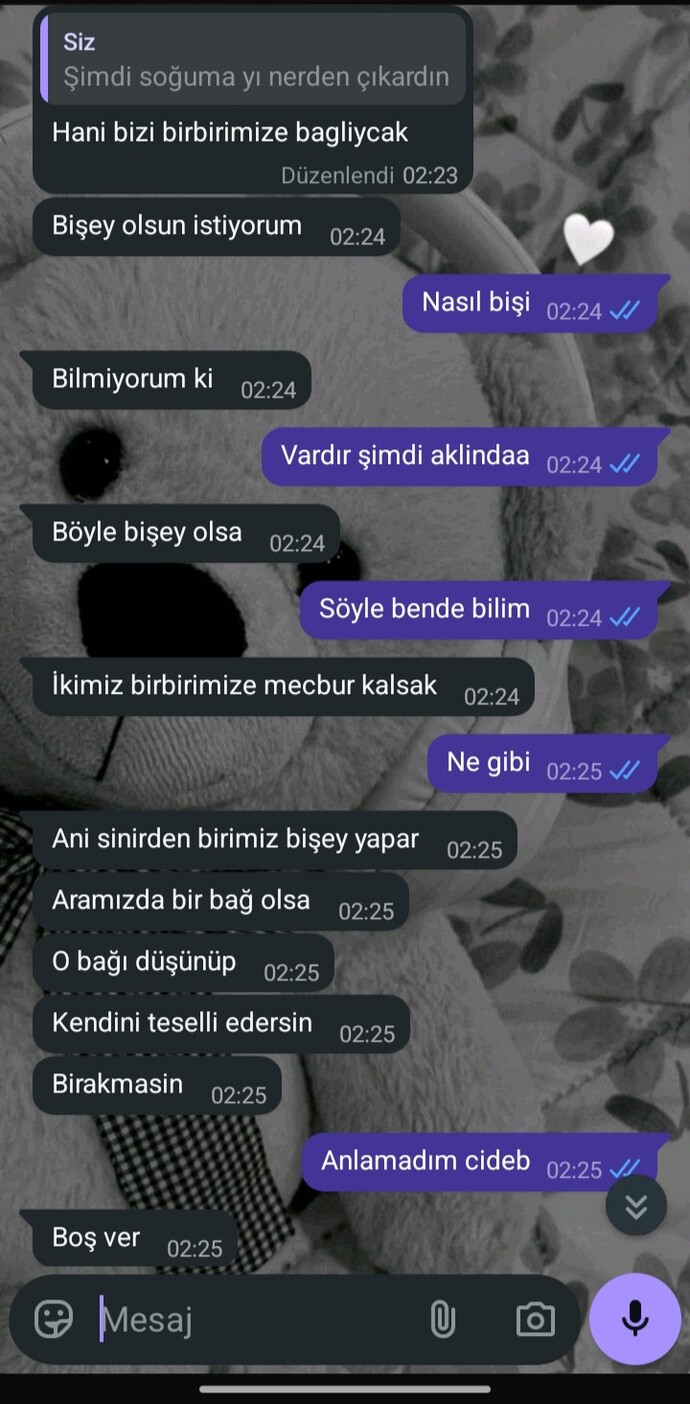 Sizce burada ne demek istedi sevgilim?
