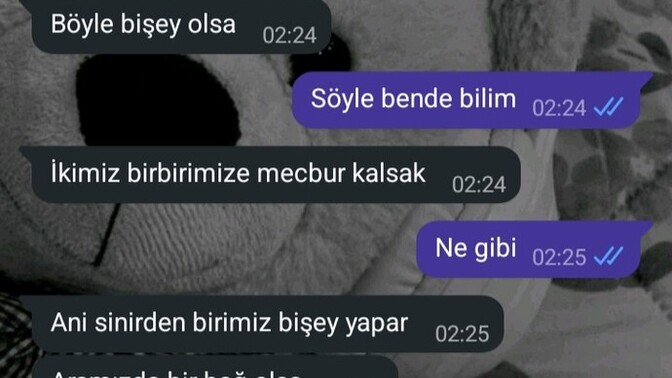Sizce burada ne demek istedi sevgilim?