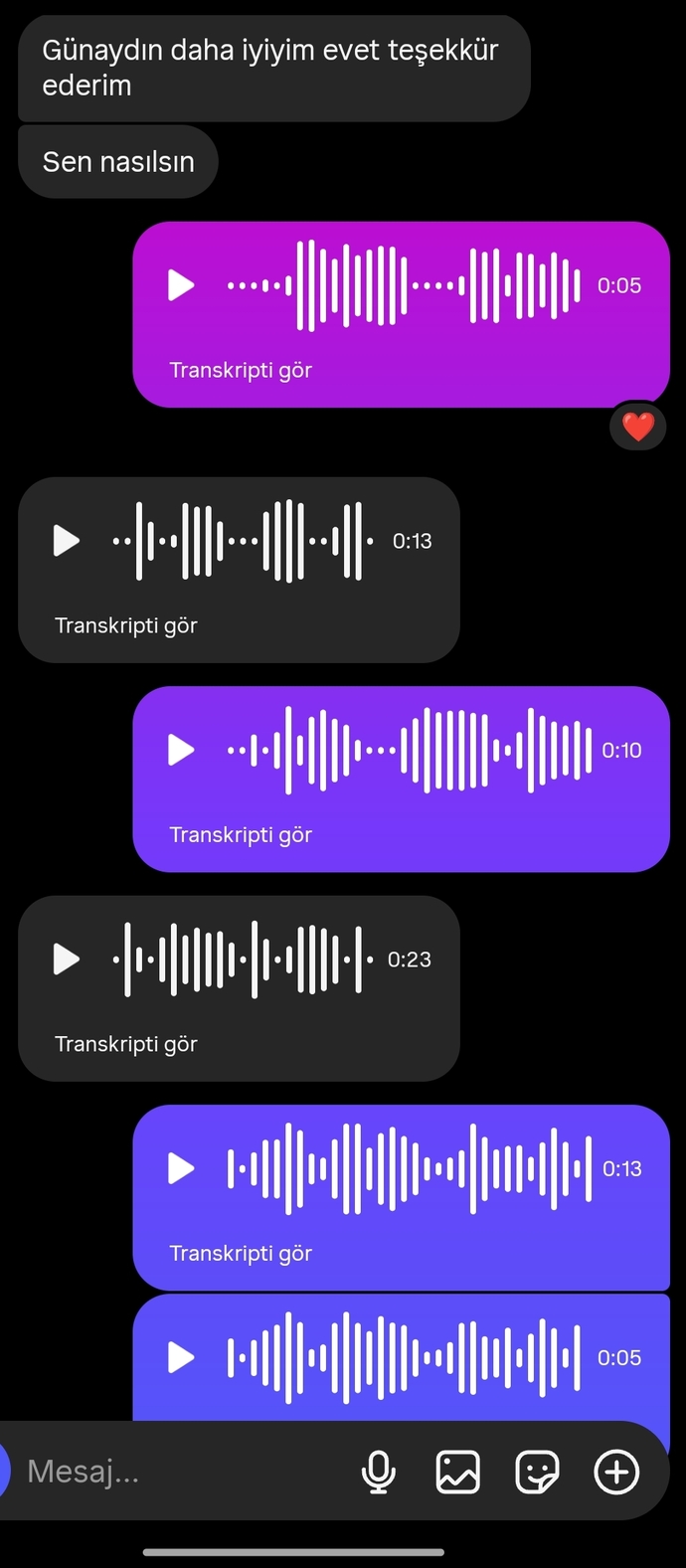 Mesajlasmayı mı sesli konuşmayı mı seviyorsunuz?