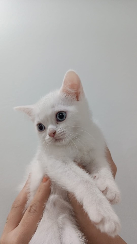 Şu masuma bi isim bulalım mi?