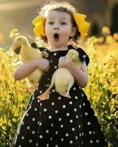 Selam olsun minicik şeylerle mutlu olan kocaman yüreklere 🥰 bakalım kimler alacak selamımı, keyifli mi vakitler?