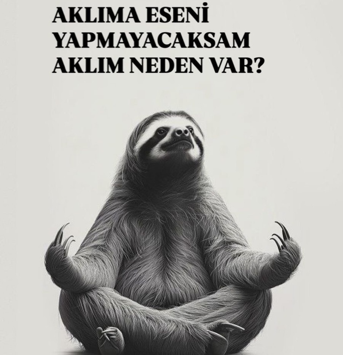 Aklınıza eseni yapıyor musunuz?