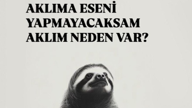 Aklınıza eseni yapıyor musunuz?