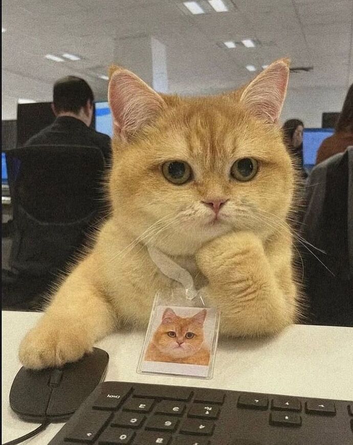 Meslek seçiminizi neye göre yaptınız, pişman mısınız yoksa iyi ki mi diyorsunuz?