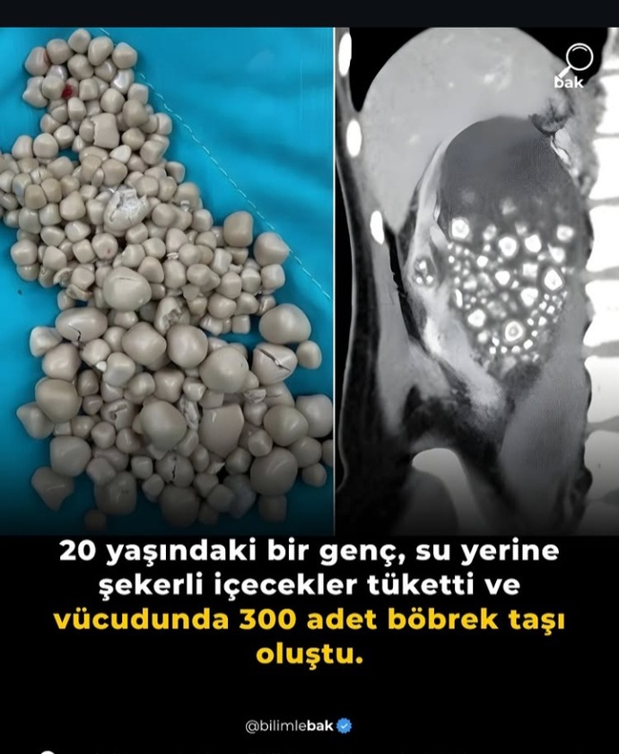 Taş üretim merkezi A. Ş.