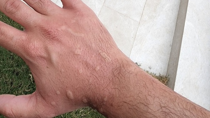 Alarjiniz var mı bir şeye?
