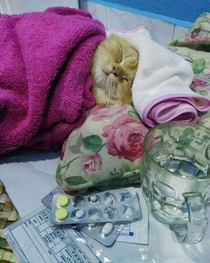 Sizden bir şey istesem yapar mısınız?