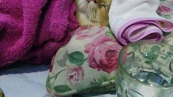 Sizden bir şey istesem yapar mısınız?