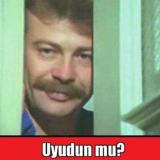 demek istediklerim oluyor