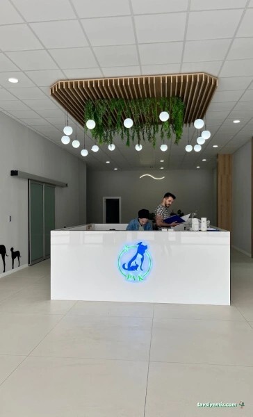 Ankara da Pursaklar Veteriner Kliniğine hiç evcil hayvan götürdünüz mü, ilgi ve tedavi konusunda nasıllar?