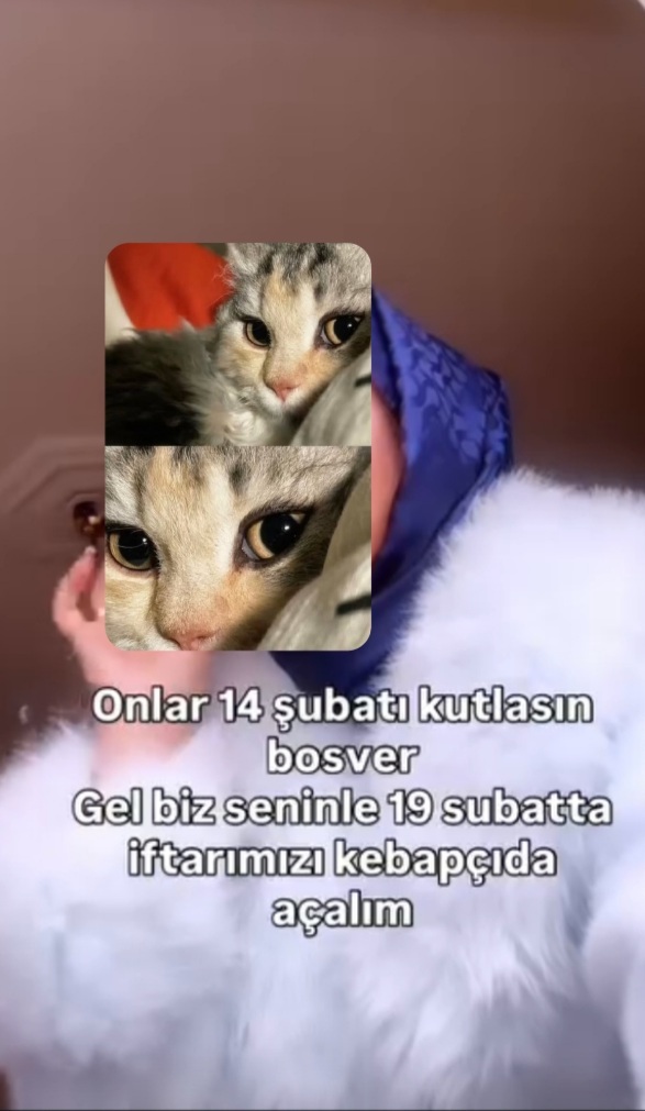 Bu en iyisi benim açımdan ahshs