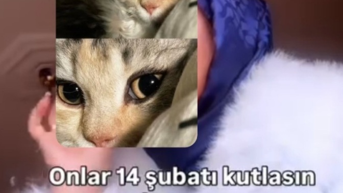 En cazip 14  Şubat  planı nedir?