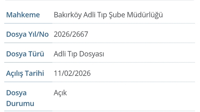 E devlette adli olgu ve siber güvenlik kaydı ne demek, hangi dosya ile ilgili olabilir?