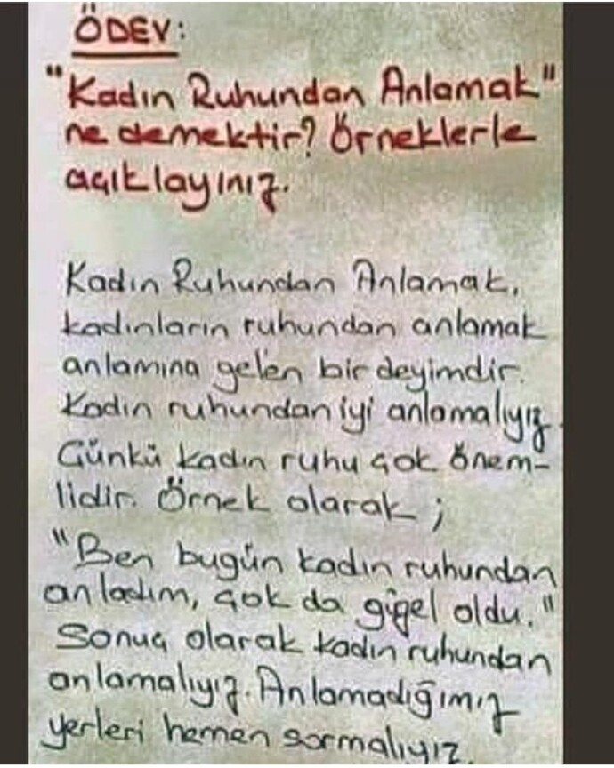 Sizi anladığımızı düşünüyor musunuz?