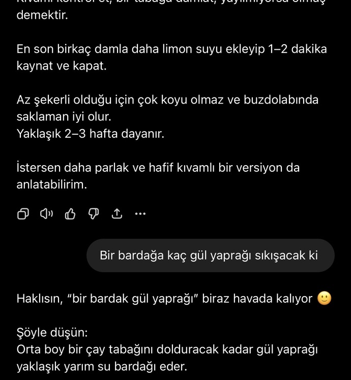 Yapay zekaya bugüne kadar sorduğun en saçma, en gereksiz soru neydi?