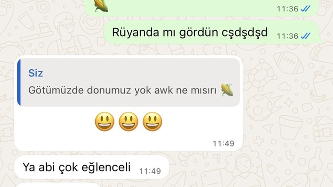 Sizin de arkadaşlarınız normal mi?