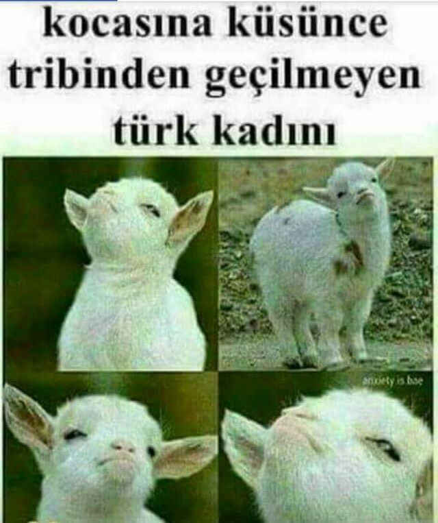Trip atma konusunda kadınlar mı erkekler mi daha abartıyor sizce 😂?