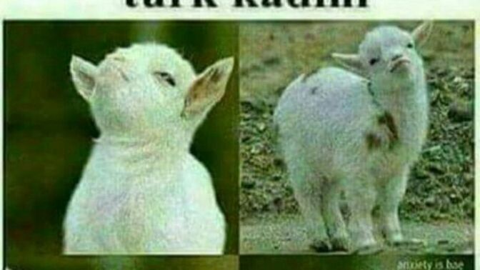 Trip atma konusunda kadınlar mı erkekler mi daha abartıyor sizce 😂?