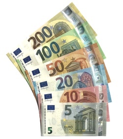 Türkiye’nin para birimin de TL’den EURO’ya geçmesini ister misiniz?
