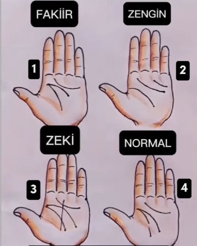 Avucunun içine bak sende hangi çizgi var?