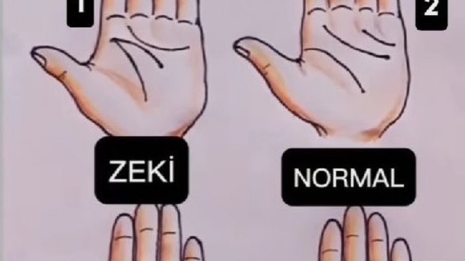 Avucunun içine bak sende hangi çizgi var?