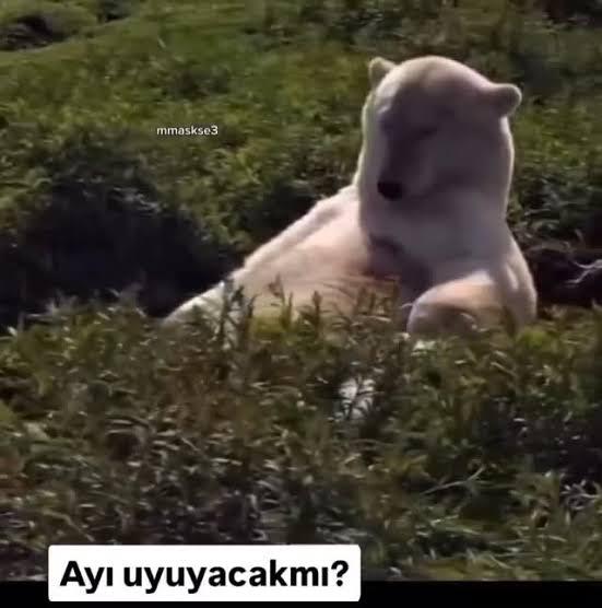 Yemekten sonra seninde üstüne bi rehavet çöküyor mu?