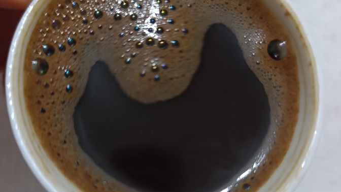 Kahve gerçekten uykuyu kaçırıyor mu yoksa bizi mi kandırdılar 🤔?