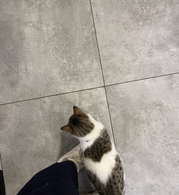 Sabah sabah yakışıklı bir oğlanla datedeydik nasıl sizce bundan olur mu?