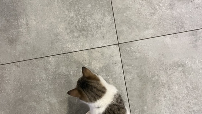 Sabah sabah yakışıklı bir oğlanla datedeydik nasıl sizce bundan olur mu?