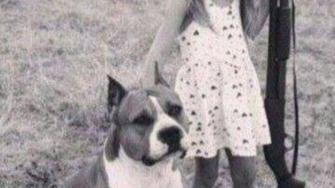 Pitbull'lar hep saldırgan mı olur?