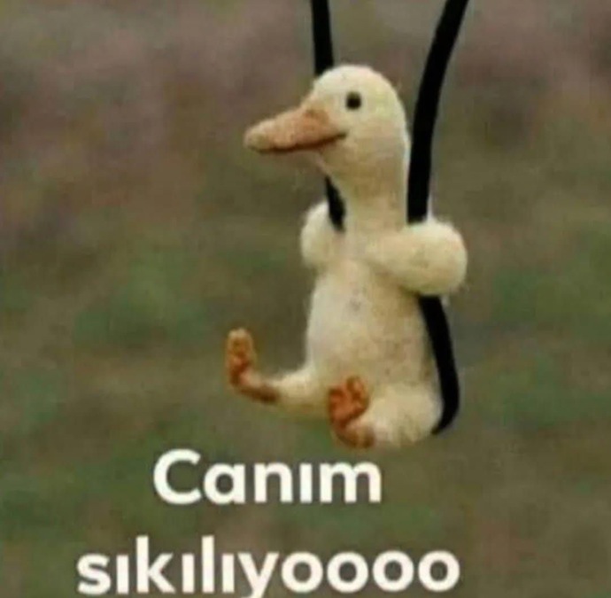 Bugün sıkıntıdan öleceğim