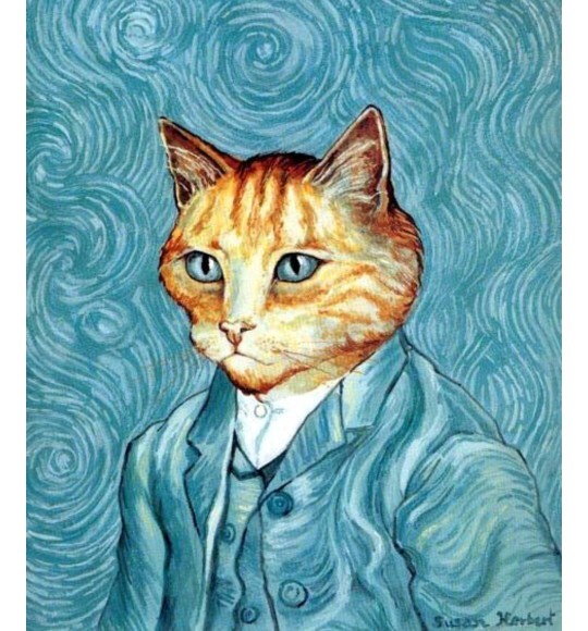 Kedim 🐱 ressam olmak istiyor ne yapmalıyım?