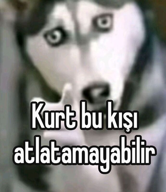 sıkıntı ama aşk için engel değil sanırım