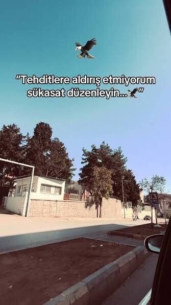 Tehditlere boyun eğer misiniz?