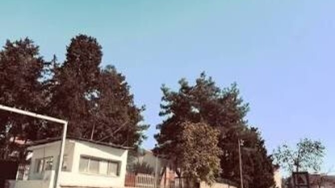 Tehditlere boyun eğer misiniz?