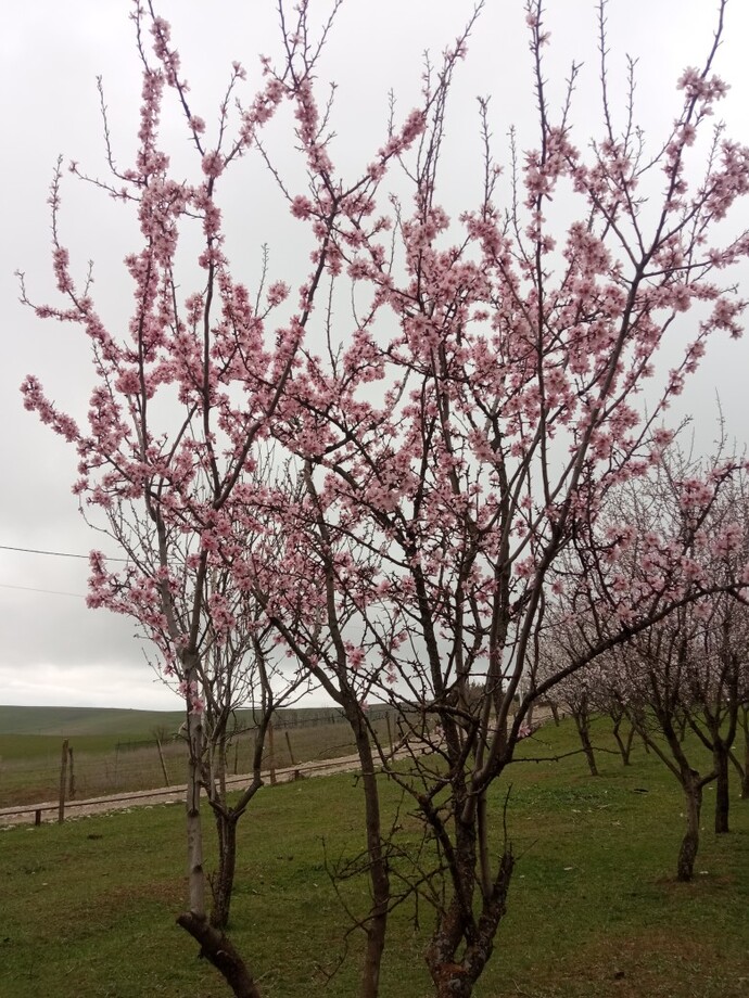 Hangi mevsimde başka bir huzurlu oluyorsun?