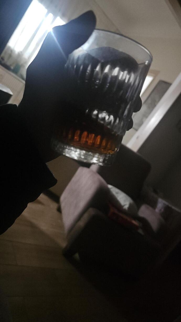 Geceniz nasıl geçiyor/şu an neler yapıyorsunuz?