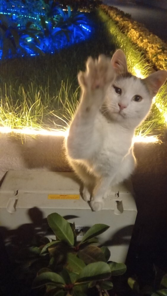 Mesaj kutumusu kapatırsam acaba takip sayısı düşermi?