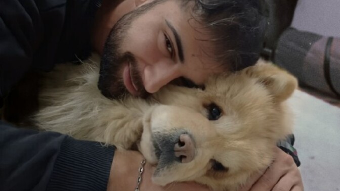 Çin aslanı sever misiniz?