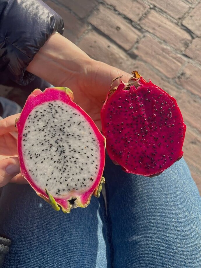 Hiç ejderya meyvesi (pitaya) yidin mi?