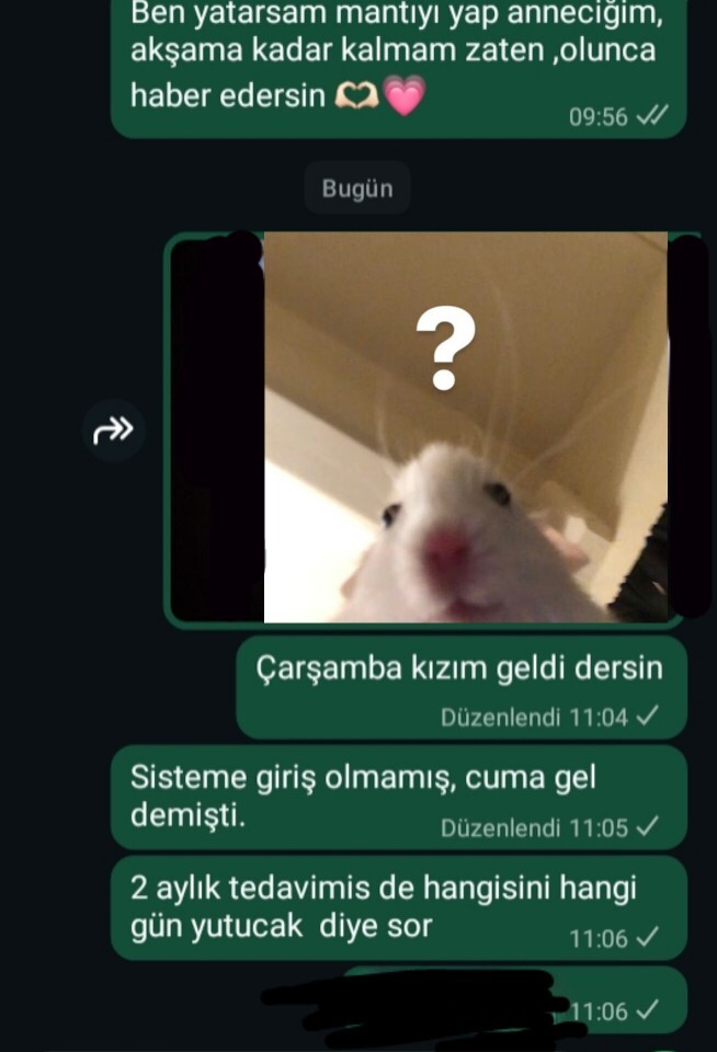 Üşengeçliğiniz kaç seviye?