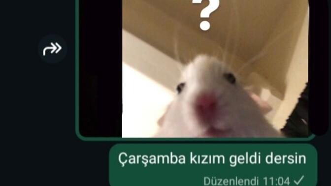 Üşengeçliğiniz kaç seviye?