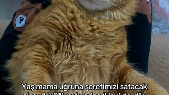 Sizdeki tembellik mi gurur mu?