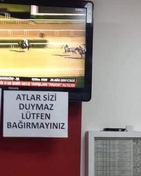 At yarışı izlemeyi seven var mı, hipodrom ve iddia olayı sizce nasıl?